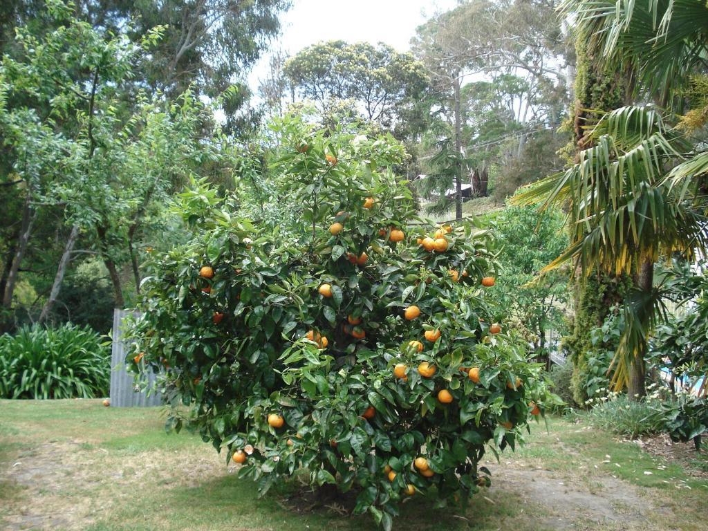 Havelock House Acomodação com café da manhã Havelock North Quarto foto